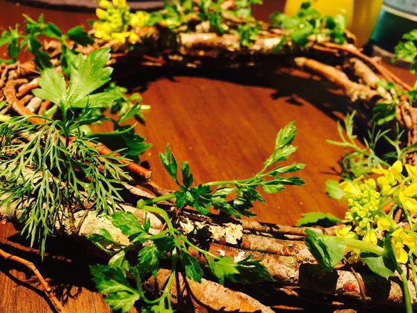 11157949_910474715640971_716168714_n