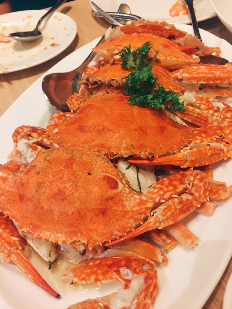 IMG_1904.JPG IMG_1904.JPG