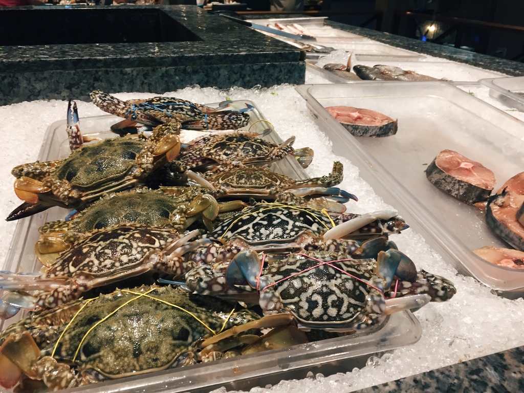 IMG_2887.JPG IMG_2887.JPG