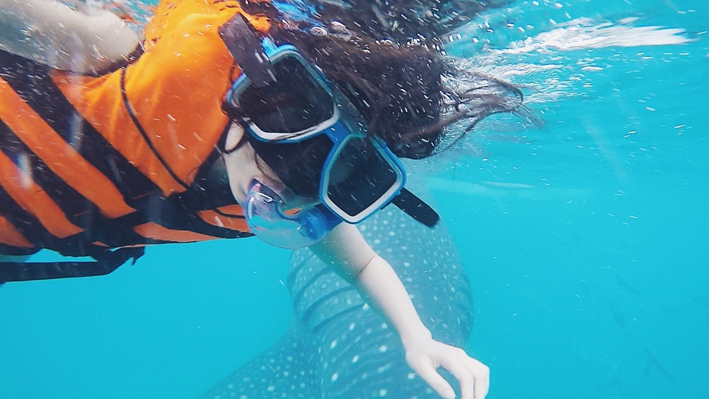 IMG_3013.JPG IMG_3013.JPG