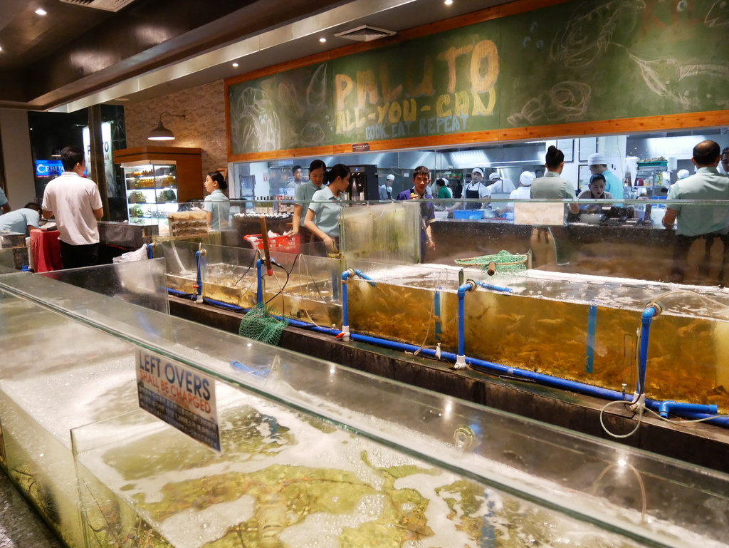 P1010058.JPG P1010058.JPG