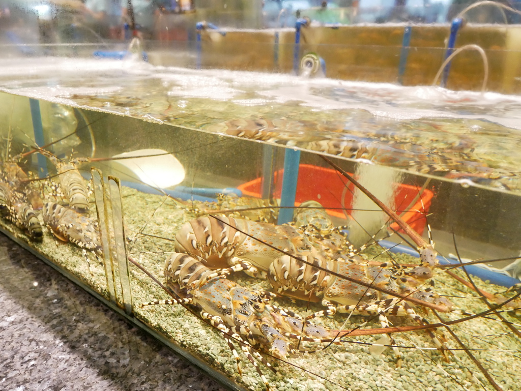 P1010057.JPG P1010057.JPG