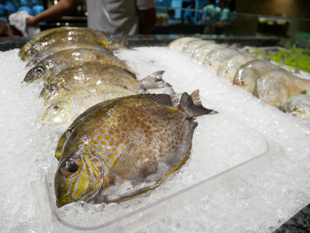 P1010069.JPG P1010069.JPG